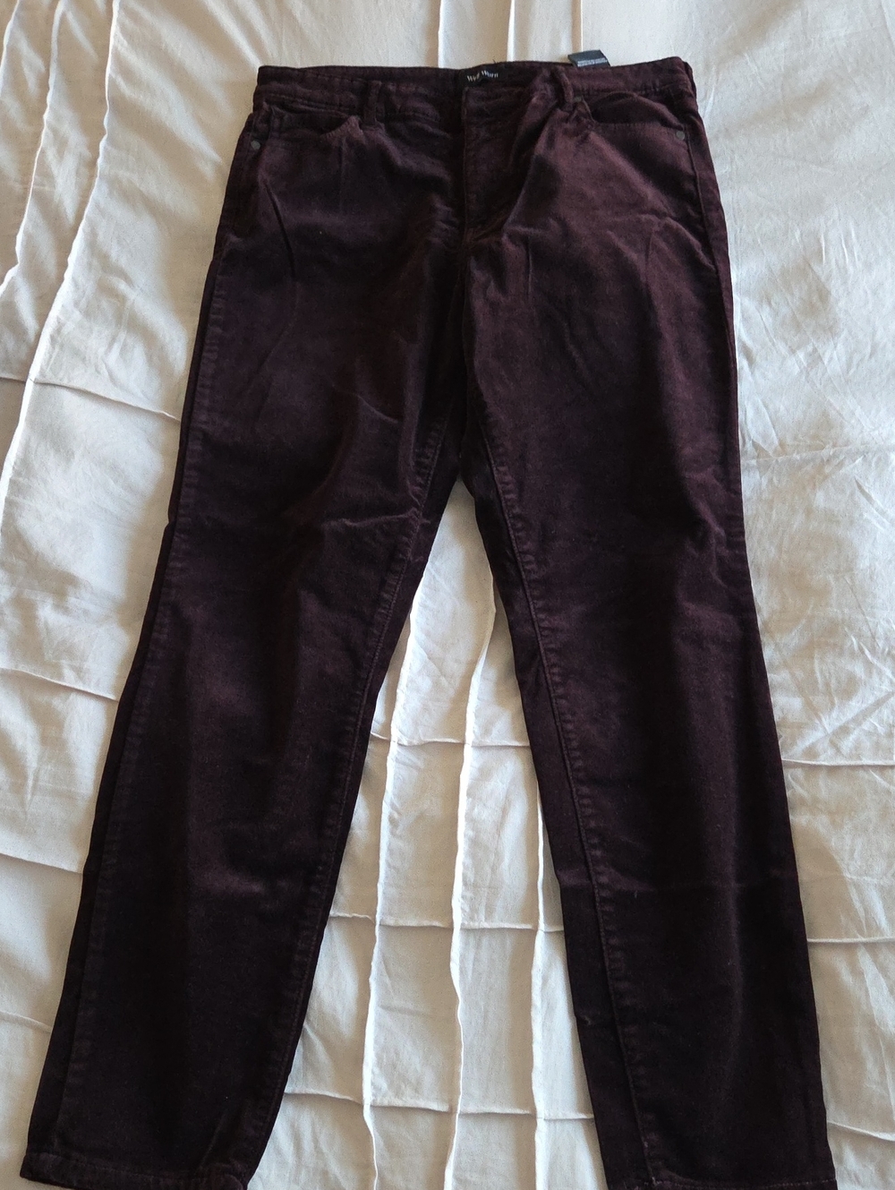 Velvet Pants in Deep Wine